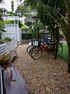 eine Gruppe von Fahrrädern, die neben einer Bank geparkt werden in der Unterkunft บุญเมืองน่าน in Nan