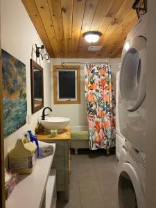 a bathroom with a sink and a washing machine at Ferme Jardin Potager in Sainte-Rose-du-Nord