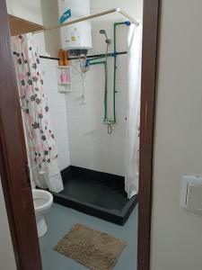 a bathroom with a shower with a toilet at Suculento Apart in Fray Bentos