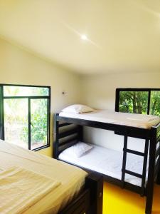 Amalaya Hostel في ريستريبو: سريرين بطابقين في غرفة بها نافذتين