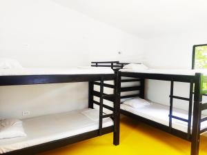 two sets of bunk beds in a room at Amalaya Hostel in Restrepo