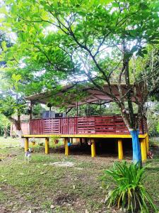En have udenfor Amalaya Hostel