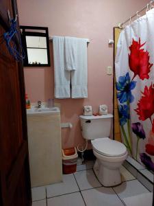 a bathroom with a toilet and a sink at Chinitas Eco Lodge in Tortuguero