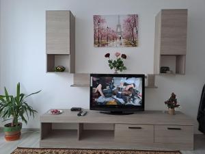 een woonkamer met een televisie op een houten entertainmentcentrum bij Bacău Central in Bacău