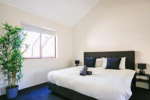 a bedroom with a bed with a teddy bear on it at Cozy 2 Bedroom Apartment Chippendale II in Sydney