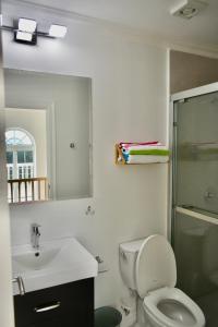 a bathroom with a toilet and a sink and a shower at Irie Vibes Ocean View in Negril