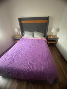 ein violettes Bett mit zwei Nachttischen und zwei Lampen in der Unterkunft Bonito departamento frente a metro cuatro caminos in Mexiko-Stadt
