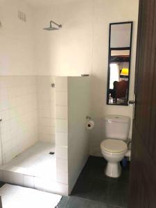 a bathroom with a toilet and a mirror at Sherwood Garden Cottage in Durban