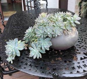 een vaas gevuld met bloemen zittend op een tafel bij Sherwood Garden Cottage in Durban