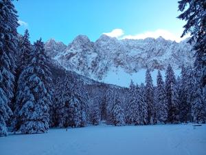 Apartment in Bodental near Ski Slopes during the winter
