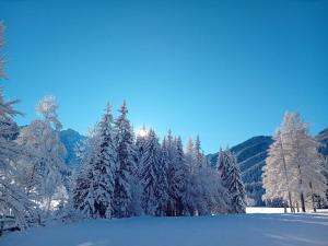 Apartment in Bodental near Ski Slopes during the winter