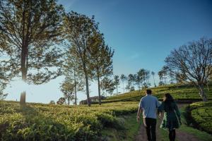 Hosté ubytování Green Nest Resort Ooty