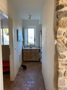 Eine schwarze Katze steht in einer Küche mit Spüle in der Unterkunft Seele baumeln lassen im Olivenhain (Meeresnähe) in Santa Caterina dello Ionio