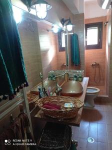 łazienka z umywalką i toaletą w obiekcie ΟΡΕΙΝΟ ΟΝΕΙΡΟ w mieście Anilio Metsovo