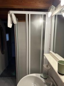 łazienka z prysznicem i białą toaletą w obiekcie Casa Vacanze Roncaiola w mieście Tirano +37 zdjęć