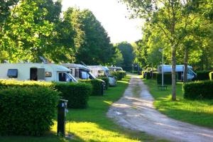 een rij campers geparkeerd naast een onverharde weg bij Camping le Martinet in Briare