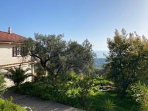 einen Hof mit Bäumen und einem Haus in der Unterkunft Seele baumeln lassen im Olivenhain (Meeresnähe) in Santa Caterina dello Ionio