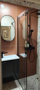 bagno con doccia, specchio e lavandino di POMODORO ROOMS a Zagabria
