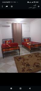 um quarto com duas camas e um tapete em Studio em Hurghada
