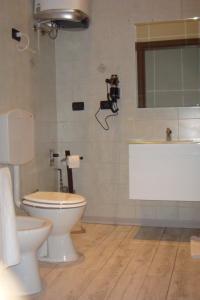 ボローニャにあるIl Salotto di Bolognaのバスルーム(トイレ、洗面台、鏡付)