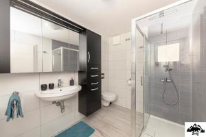 ein Bad mit einer Dusche, einem Waschbecken und einem WC in der Unterkunft Brlog in Zgornje Gorje