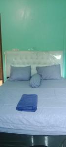 Sungaitutung的住宿－Natural hot spring homestay，一张带蓝色枕头和蓝色床单的白色床