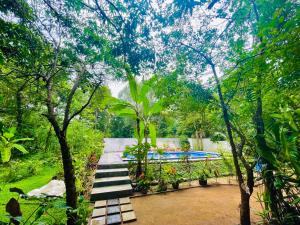 a group of steps leading to a pool in a garden at Gangadiya Lodge in Sigiriya