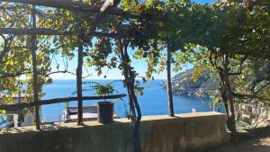 a view of the ocean from a house with trees at TakeAmalfiCoast Patchwork Rural House in Minori