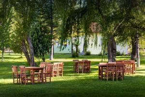 a group of tables and chairs under a tree at AĞAOĞLU MY TERMAL 