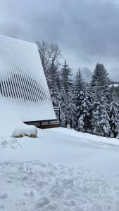 Kış mevsiminde Alpi Cabin Pridolci