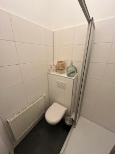 a small bathroom with a toilet and a sink at FeWo Taubenstern in Schwerin