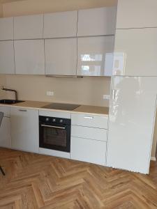 uma cozinha com armários brancos e um forno preto em Hotel zur Panke Wohnung 1 em Kolonie Röntgental