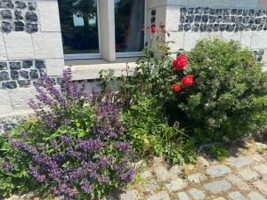 a garden of flowers in front of a window at Maison 10p avec piscine, chauffée et partagée avec 1 autre gîte, horaires privatifs pour chaque gîte - Réservation sur https auxportesdetretat fr in Villainville