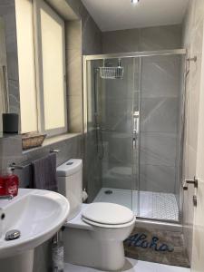 a bathroom with a shower and a toilet and a sink at Sliema Seaview & seafront- APT 9, 49 Tigne Point Mansions in Sliema