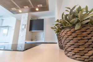 Telewizja i/lub zestaw kina domowego w obiekcie Phoenix Luxury Loft Cádiz