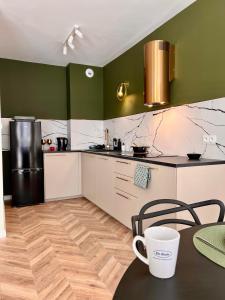 uma cozinha com paredes brancas e verdes e um frigorífico preto em Apartament Twój ZDRÓJ & SPA Dr Duda em Busko-Zdrój