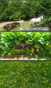 duas fotos de uma estátua de cavalo e uma fonte de água em Mountine cottage Hajdi em Andrijevica