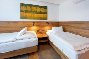 オロモウツにあるCENTRAL PARK FLORAのベッド2台が備わる客室で、壁には絵画が飾られています。