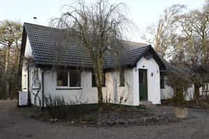 a small white house with a tree in front of it at Rivendell House in Spean Bridge