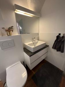 bagno con lavandino, servizi igienici e specchio di Beautiful Studio in the Heart of Salzburg a Salisburgo