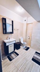 a bathroom with a sink and a toilet at Apartament Dem Radulescu 3 camere! in Râmnicu Vâlcea