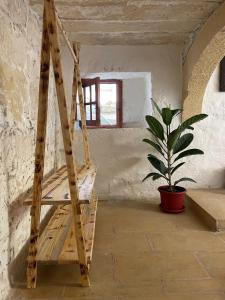 a wooden ladder in a room with a potted plant at Sansun Community House in Xewkija