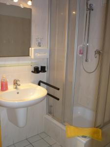 a bathroom with a sink and a shower at Willmersdorfer Hof in Cottbus