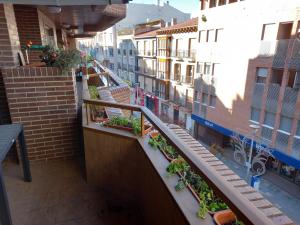 a balcony with potted plants on a building at El Ritual Apartamento in Tudela +21 photos