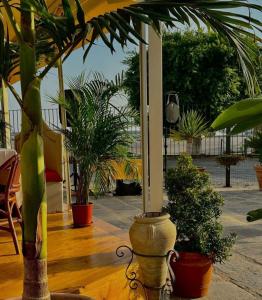 Zahrada ubytování Hotel Al Faro