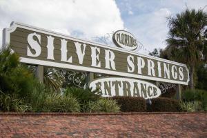 Gallery image of Days Inn by Wyndham Ocala North in Ocala +10 photos