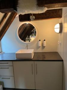 La salle de bains est pourvue d'un lavabo et d'un miroir. dans l'établissement Luttik, à Alkmaar