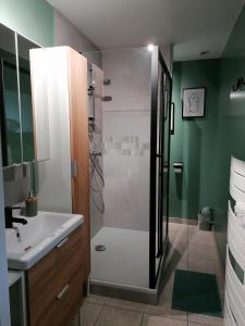 ein Bad mit einer Dusche und einem Waschbecken in der Unterkunft La maison Saint-Gervais in Falaise