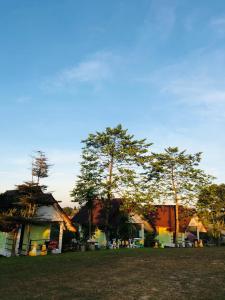 a group of buildings with trees in a field at Baan Termsuk in Khao Kho