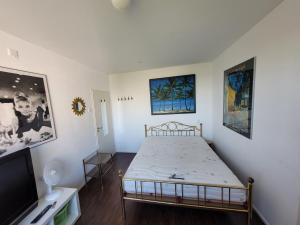 a bedroom with a bed and a flat screen tv at Sky Home Room 1 in Amsterdam